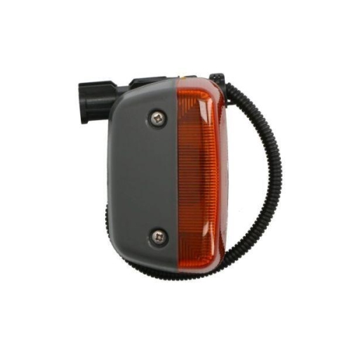 TRUCKLIGHT Blinkleuchte CL-MA011