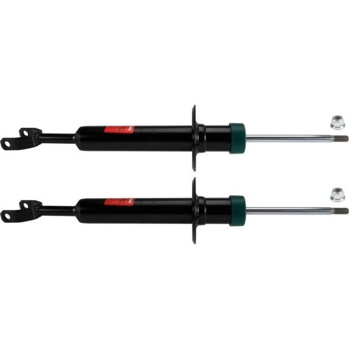 TRW Sto&szlig;d&auml;mpfer TRW TWIN JGS232T