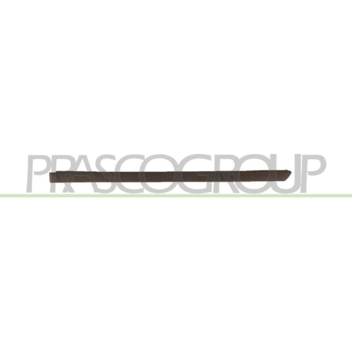 PRASCO Zier-/Schutzleiste, T&uuml;r VG0201454