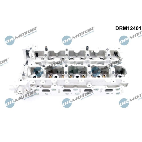 Dr.Motor Automotive Zylinderkopf DRM12401