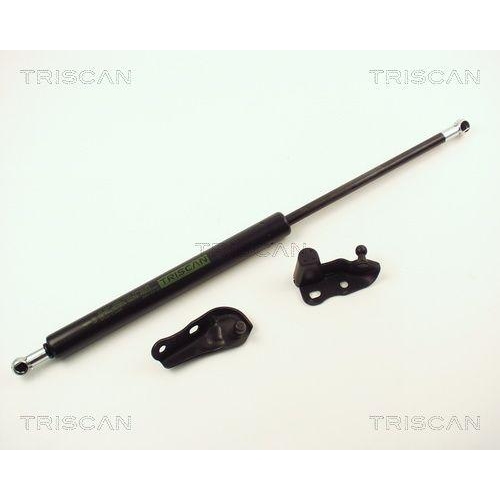 TRISCAN Gasfeder, Koffer-/Laderaum 8710 13264