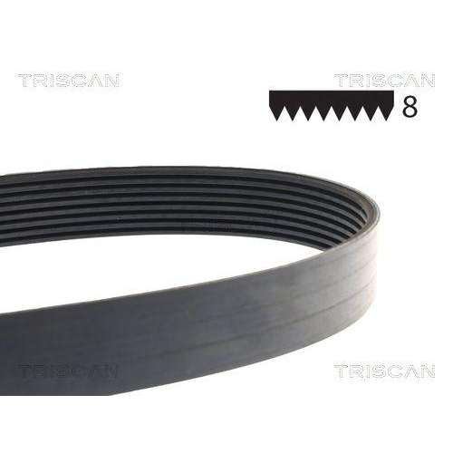 TRISCAN Keilrippenriemen 8640 802440