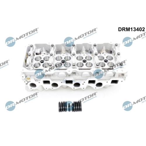 Dr.Motor Automotive Zylinderkopf DRM13402