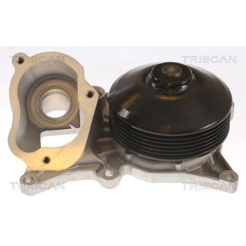 TRISCAN Wasserpumpe, Motorkühlung 8600 11060