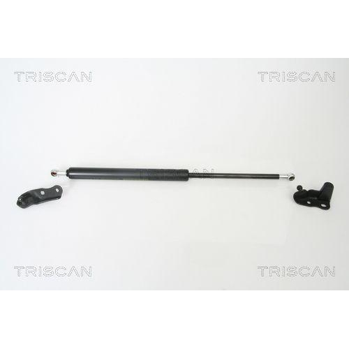 TRISCAN Gasfeder, Koffer-/Laderaum 8710 13265