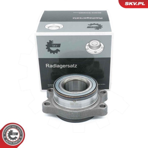 ESEN SKV Radlagersatz