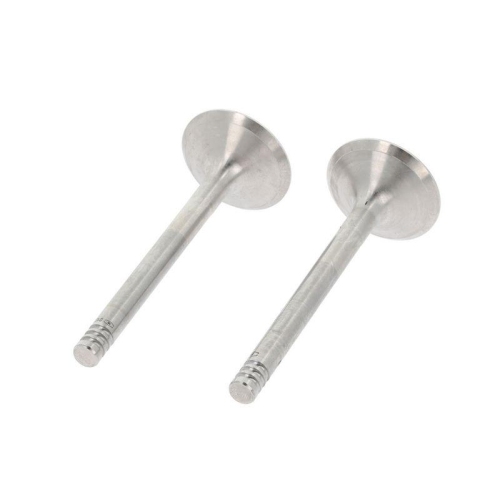 CORTECO Einlassventil 550839B