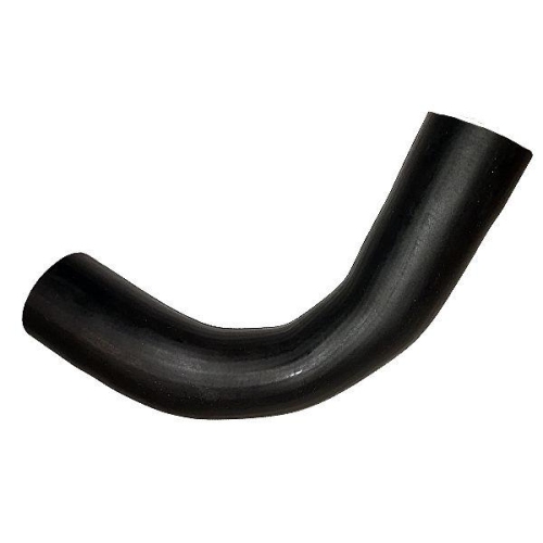 BUGIAD Ladeluftschlauch 81790