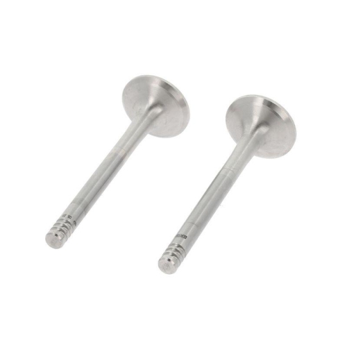 CORTECO Auslassventil 550840B