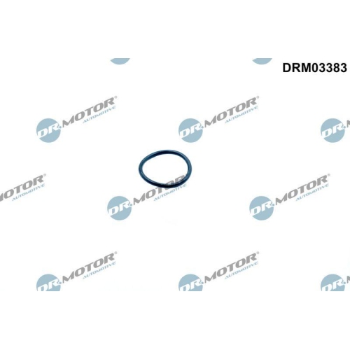 Dr.Motor Automotive Dichtring, Steuerkettenspanner DRM03383