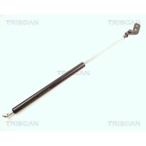 TRISCAN Gasfeder, Koffer-/Laderaum 8710 18206