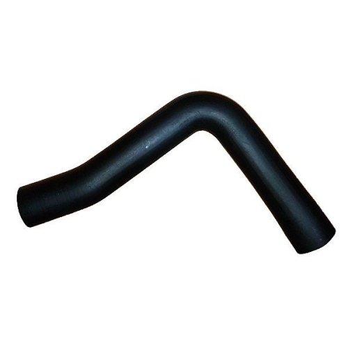 BUGIAD Ladeluftschlauch 88825