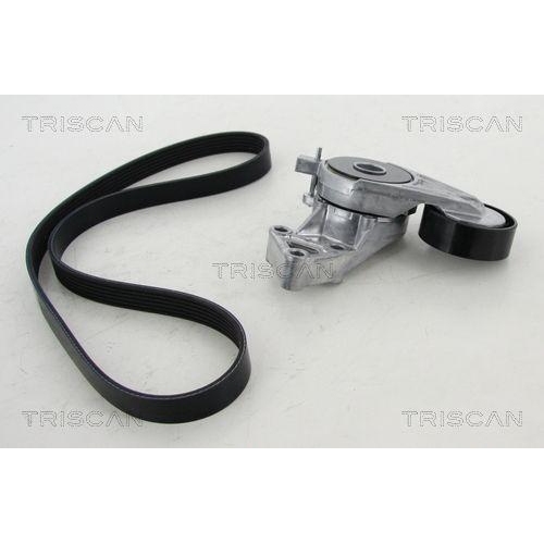 TRISCAN Keilrippenriemensatz 8642 29017