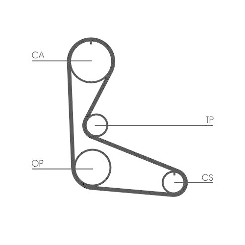 CONTINENTAL CTAM Zahnriemen CT702