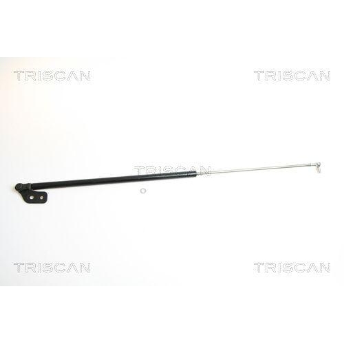 TRISCAN Gasfeder, Koffer-/Laderaum 8710 18209