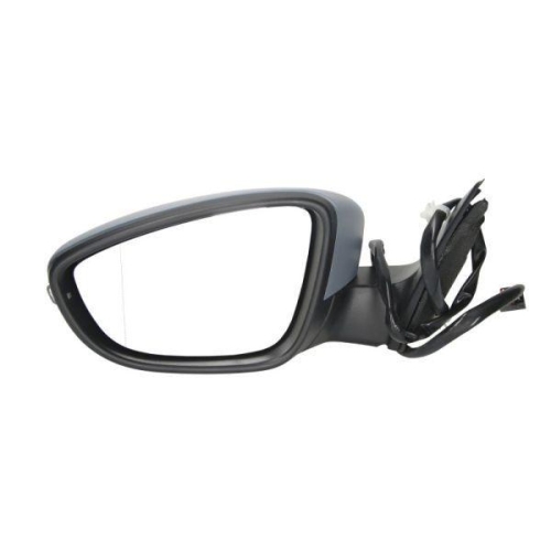 BLIC Außenspiegel 5402-01-2002673P