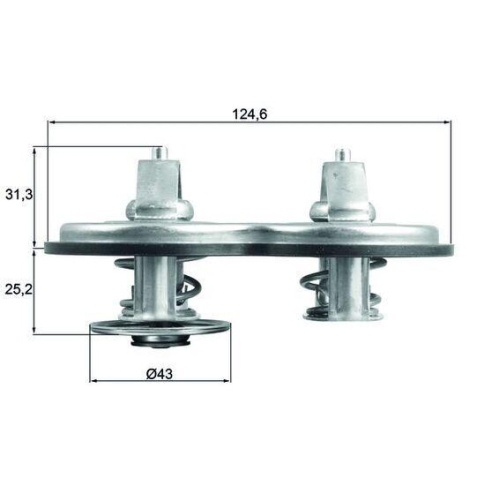 MAHLE Thermostat, K&uuml;hlmittel BEHR TX 141 83