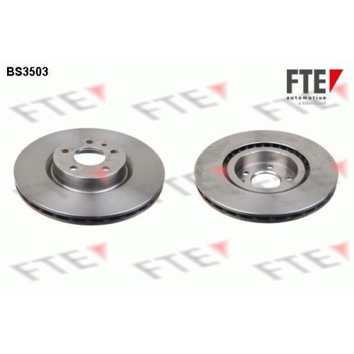 FTE Bremsscheibe 9072038