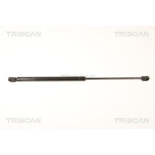 TRISCAN Gasfeder, Heckscheibe 8710 25251