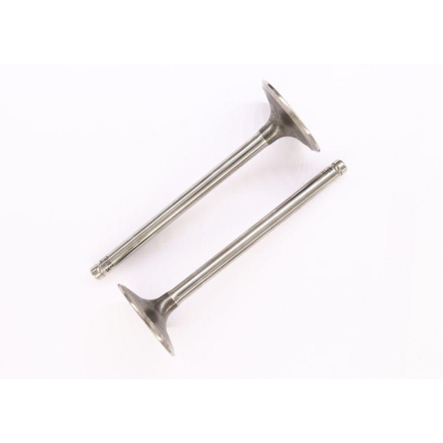 CORTECO Einlassventil 550888B