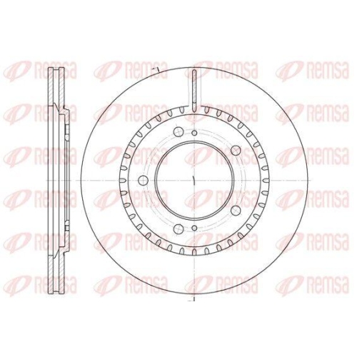REMSA Bremsscheibe 6699.10
