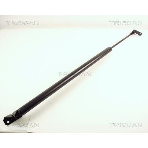 TRISCAN Gasfeder, Koffer-/Laderaum 8710 43205