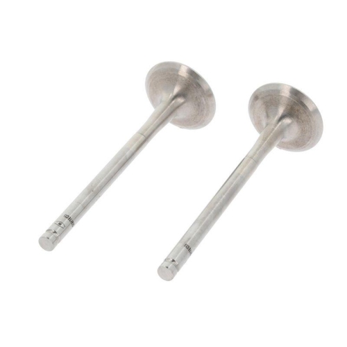 CORTECO Auslassventil 550889B