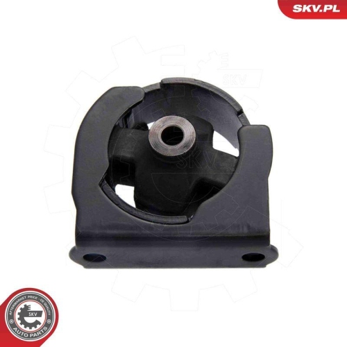 ESEN SKV Lagerung, Motor
