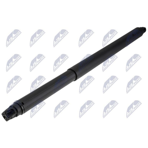 NTY Gasfeder, Koffer-/Laderaum AE-KA-043