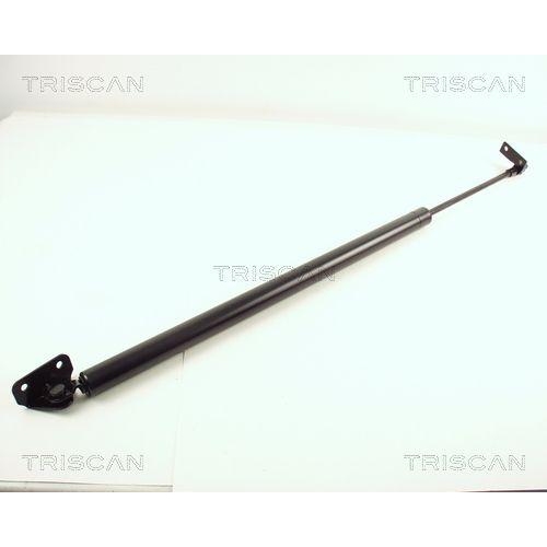 TRISCAN Gasfeder, Koffer-/Laderaum 8710 43206