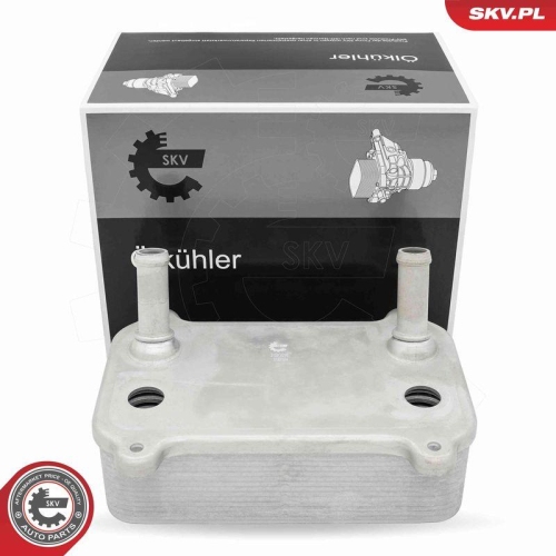 ESEN SKV &Ouml;lk&uuml;hler, Motor&ouml;l