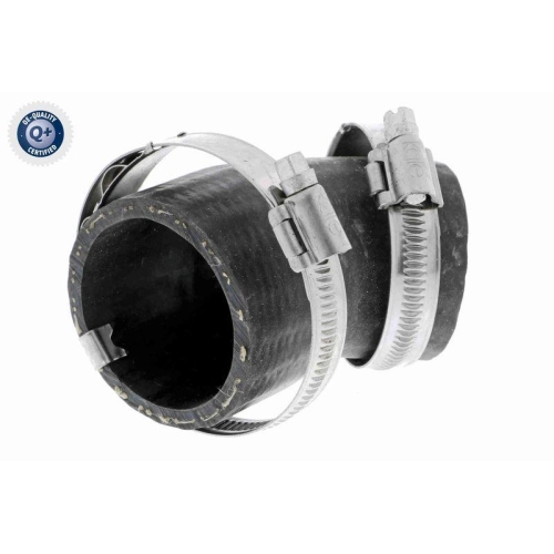 VAICO Ladeluftschlauch Q+, Erstausrüsterqualität V10-3799