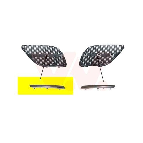 VAN WEZEL Zier-/Schutzleiste, K&uuml;hlergitter 3323514