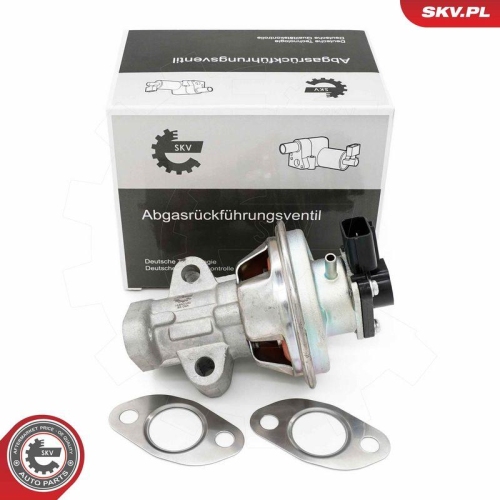 ESEN SKV AGR-Ventil 14SKV262
