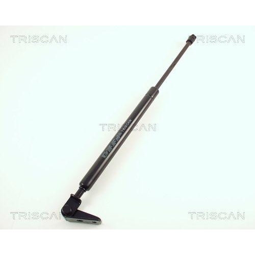 TRISCAN Gasfeder, Koffer-/Laderaum 8710 50210