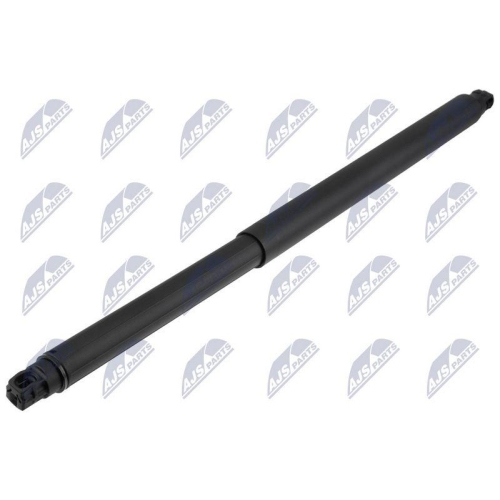 NTY Gasfeder, Koffer-/Laderaum AE-KA-047