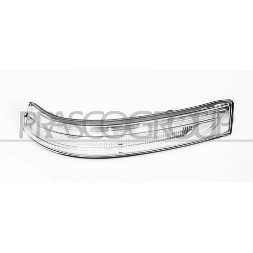 PRASCO Blinkleuchte HN8067416