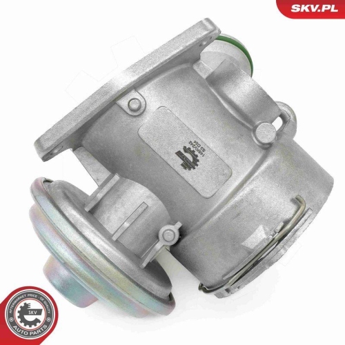 ESEN SKV AGR-Ventil 14SKV242