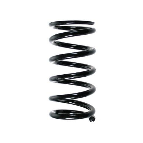 SPIDAN Fahrwerksfeder 85256