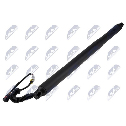 NTY Gasfeder, Koffer-/Laderaum AE-KA-050