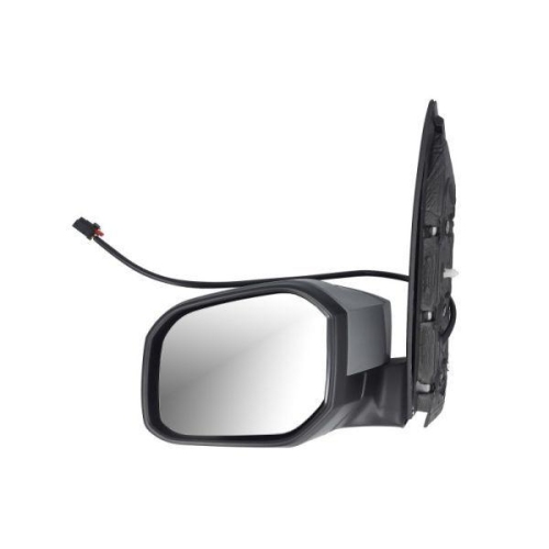 BLIC Außenspiegel 5402-04-1546369P