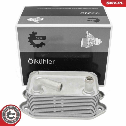 ESEN SKV &Ouml;lk&uuml;hler, Motor&ouml;l 31SKV302