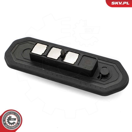 ESEN SKV Schalter, T&uuml;rkontakt 97SKV093