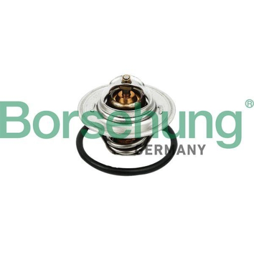 Borsehung Thermostat, K&uuml;hlmittel B13140