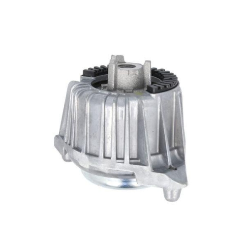 REINHOCH Lagerung, Motor RH11-3118