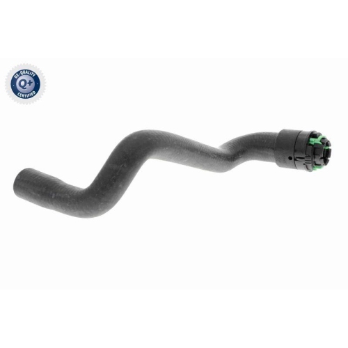 VAICO K&uuml;hlerschlauch Q+, Erstausr&uuml;sterqualit&auml;t V40-1347