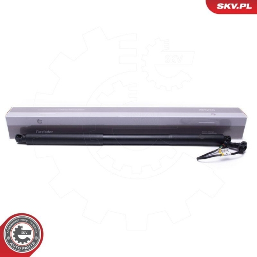ESEN SKV Elektromotor, Heckklappe 52SKV968