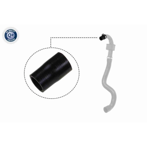 VAICO Ladeluftschlauch Q+, Erstausr&uuml;sterqualit&auml;t V46-0827