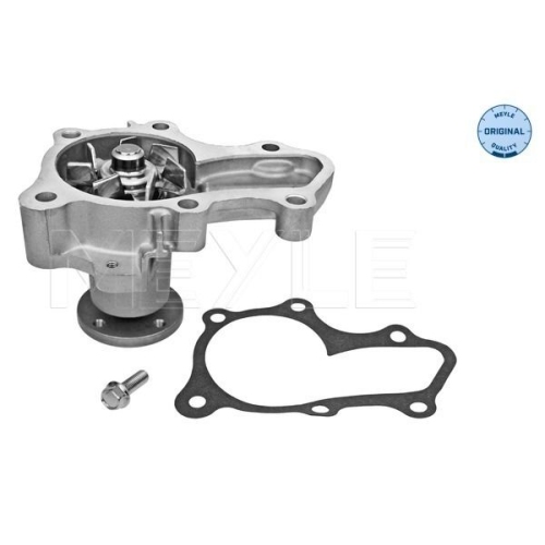 MEYLE Wasserpumpe, Motork&uuml;hlung MEYLE-ORIGINAL: True to OE. 32-13 220 0004