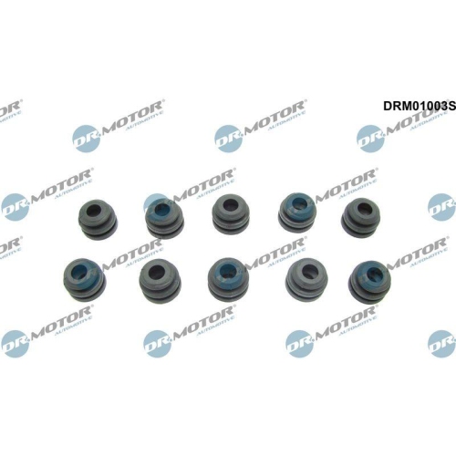 Dr.Motor Automotive Anschlagpuffer, Motorabdeckung DRM01003S